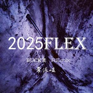 HIZL-2025FLEX（Buck鹿 remix）