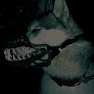 drill.⋆变⑅⃟量.Prod.DIVINE MUSIC