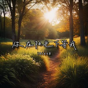你在阳光下等我