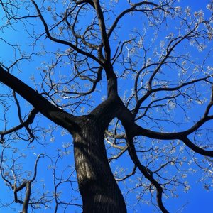 爱一个人要听她讲的一千种苦涩