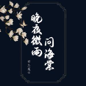 晚夜微雨问海棠