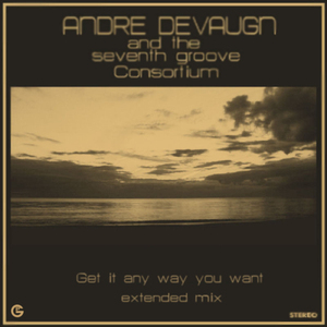 Get It Any Way You Want (Extended Mix)