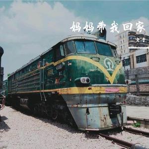 妈妈带我回家