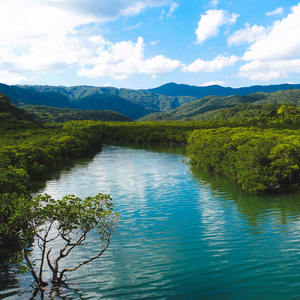 滝壺 ～ピナイサーラの滝にて～ (feat. 中田悟)