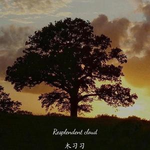 Resplendent cloud（鲜艳的云）