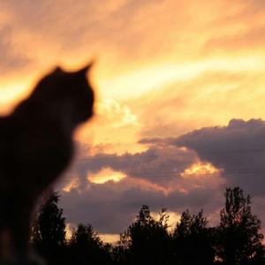 安河桥(女生版)