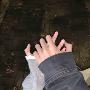 给你我所有的偏爱