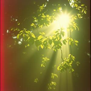 只想和你在一起