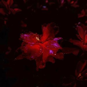 地下爱Undergroundlove(Prod.byRoman)