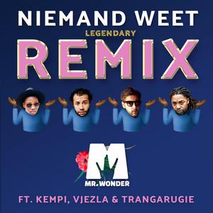 Niemand Weet (Remix)
