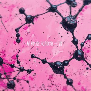 某种意义的第三者