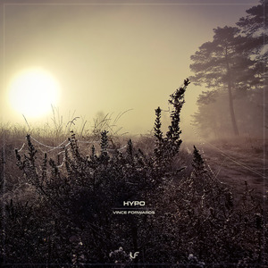 Hypo