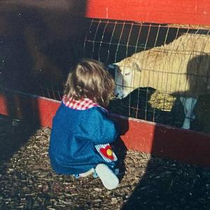 ode to the death of a firework