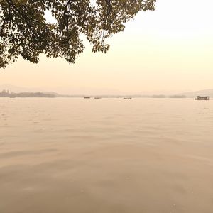 一笑倾城
