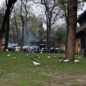 诅咒你，祝福你