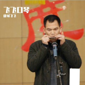 梨花又开放（飞飞口琴版）