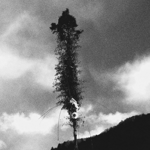 I Got Stuck In Philadelphia, Made This On The Train and Then Brian Sang Over It In New York