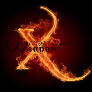 Don't Provoke the Lyricist