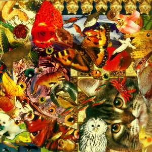 Блюдце с молоком