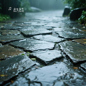 雨又落青石巷