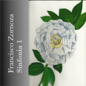 Tiempo 1