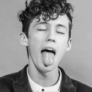 Martin Garrix / Troye sivan - There For You (Mr Vicious Remix)