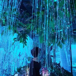 旧校服与新西装_34329385846039040_1759312329915