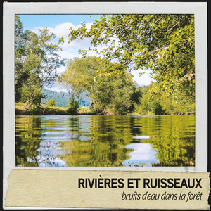 Éclaboussure rapide dans la forêt