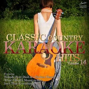 What I Really Meant to Say (In the Style of Cyndi Thomson) [Karaoke Version]