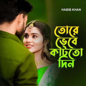 তোরে ভেবে কাটতো দিন