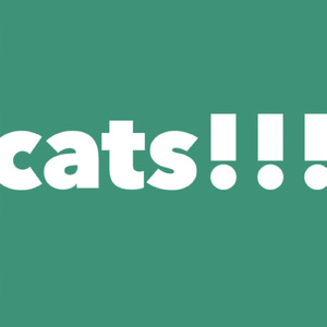 cats!!!