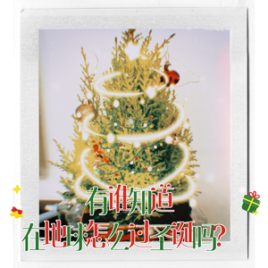 有谁知道在地球怎么过圣诞节吗?