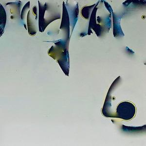 I'm Reelly Bad At Spelling