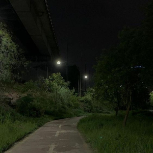 la leçon particulière