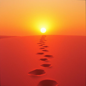 Di Balik Langkah Kecil