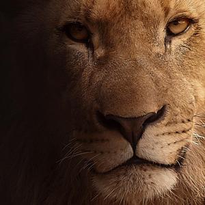 红狮(特种兵)2020.6.17