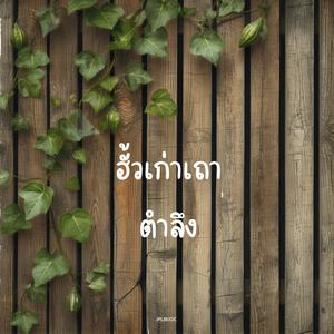ฮั้วเก่าเถาตำลึง