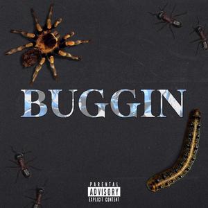 Buggin