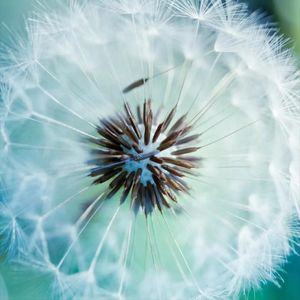 沉默的风暴来临