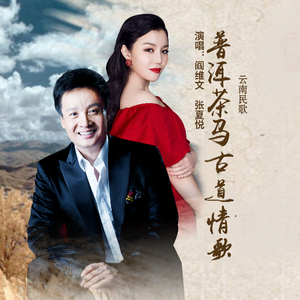 普洱茶马古道情歌