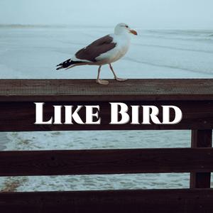 Like Bird
