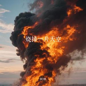烧掉一片天空 (Cover 张妙格)