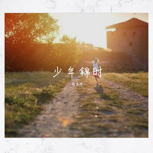 少年锦时