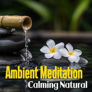 Zen Tunes