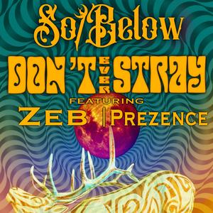 Don't Ever Stray (feat. Zeb & Prezence)