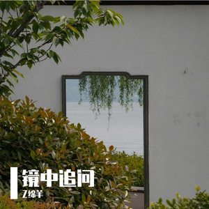镜中追问