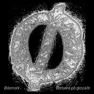 Barbeint på glasskår