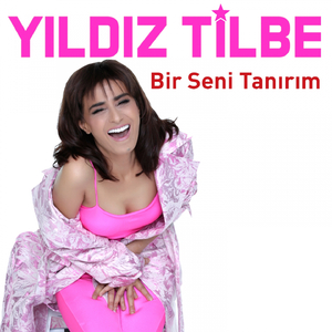 Bir Seni Tanırım (Ozan Çolakoğlu Versiyon)