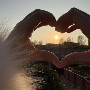 你的瞳孔是危险的花火