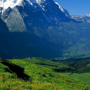 今早起来雪花飘